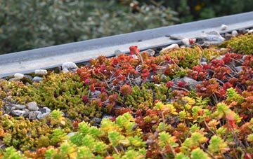 the cost of Sedbury green roof installation