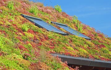 Sedbury living roof systems